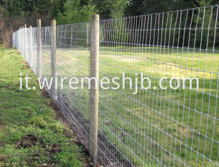 Galvanized Farm Fence